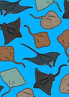 Manta Stingray Skate Fish