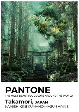 Pantone Sight Takamori