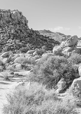 Joshua Tree Hiking Trail