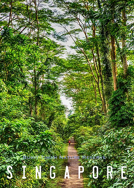 Singapore Bukit Timah
