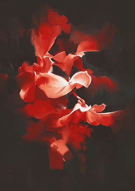 beautiful red flowers