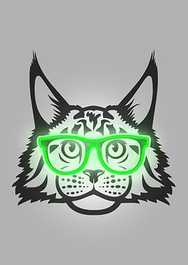 Cat maine coon in glasses
