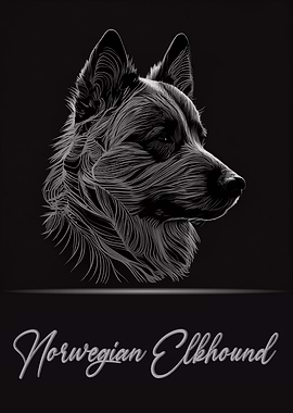 Norwegian Elkhound