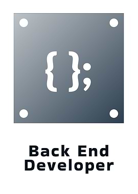 Back End Developer