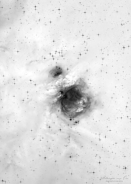 Monochrome Orion Nebula