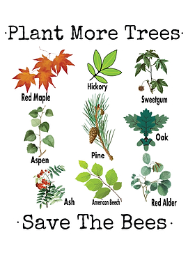 More Trees Save The Bees