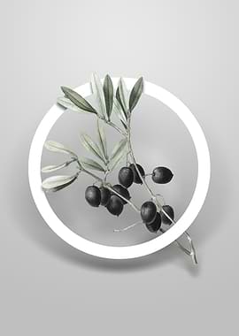 Olive Tree Branch Flower