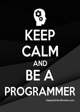 Programmer