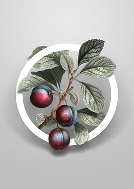 Vintage Cherry Plum Flower