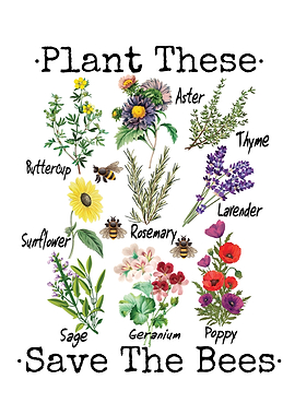 Plant These Save The Bees