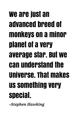 Stephen Hawking quote