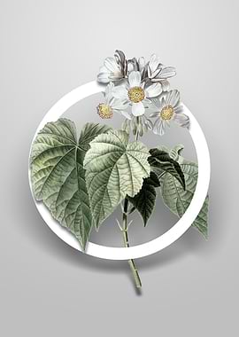 African Hemp Flower Circle