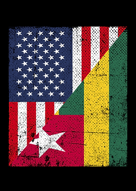 USA Togo Flag