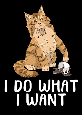 Funny Maine Coon Cat Gift