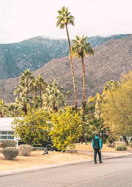 Palm Springs Street Photo