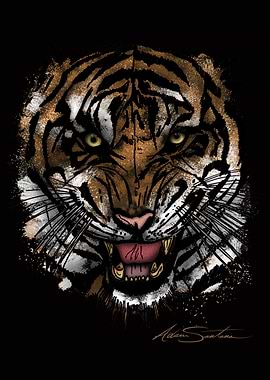 Tiger Face