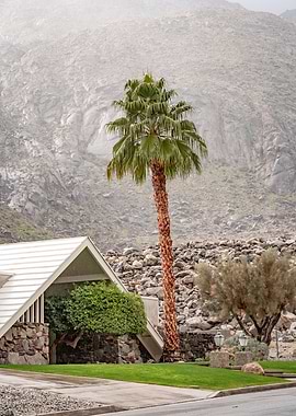 Palm Springs in the Fog