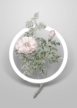 Ventenats Rose Flower Art