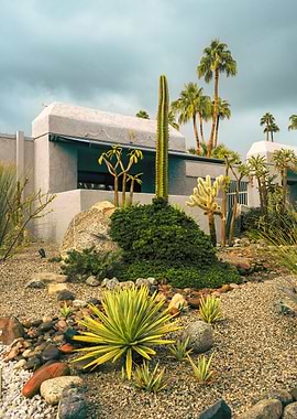 Palm Springs Desert Plants