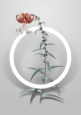 Vintage Tiger Lily Flower