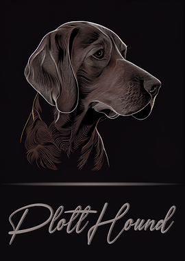 Plott Hound