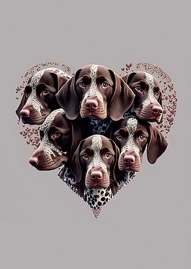 German Shorthaired Pointe