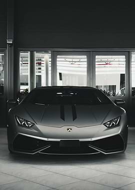 lamborghini portrait