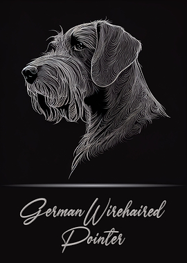 German Wirehaired Pointer