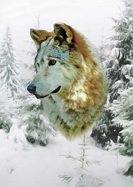 Wolf portrait