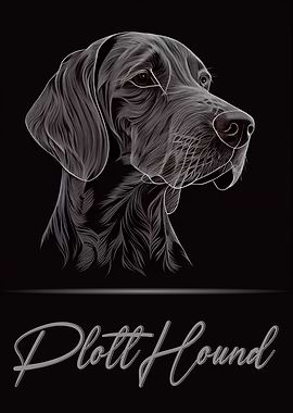 Elegant Plott Hound