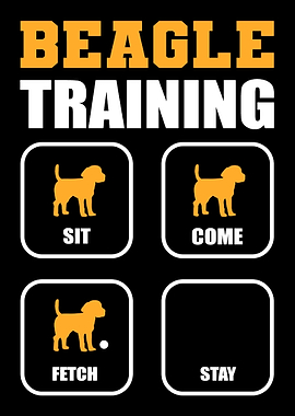 Beagle Training Dog Walker