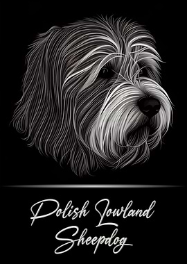 Polish Lowland Sheepdog