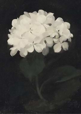 Hydrangea Painting