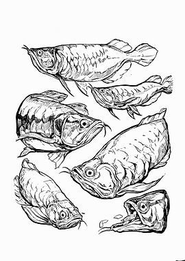 fish