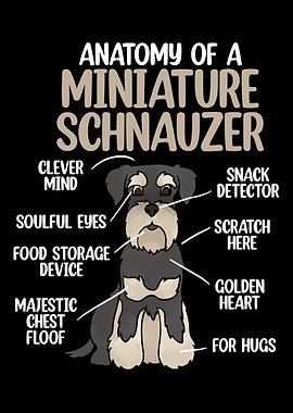 Anatomy Of A Schnauzer