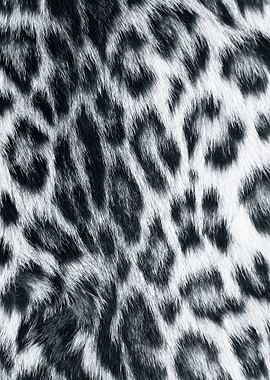 The Majestic Snow Leopard