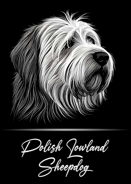 Polish Lowland Sheepdog