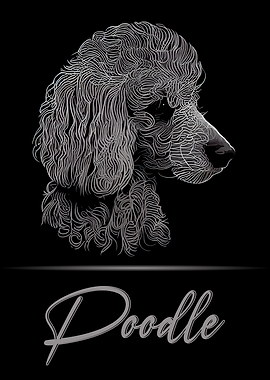 Poodle Portrait