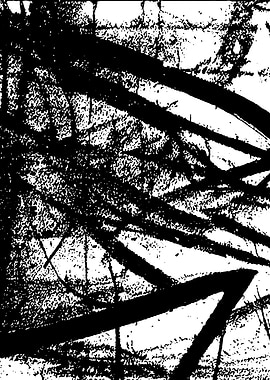 Black and White Abstract