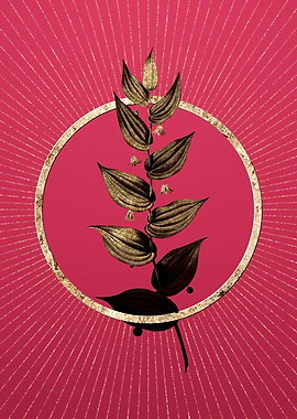 Viva Magenta Twistedstalk