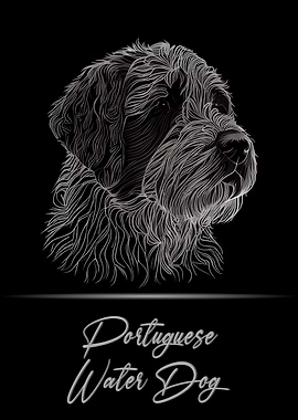 Portuguese Water Dog
