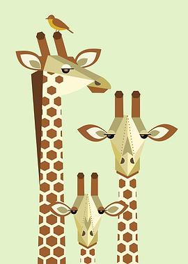 giraffe family