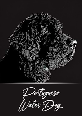 Portuguese Water Dog