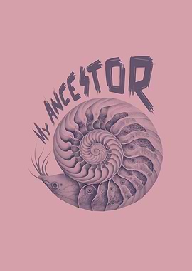 My Ancestor Cephalopod no2