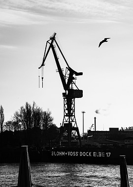Hamburg Crane Harbor