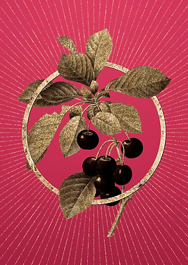 Cherry on Viva Magenta