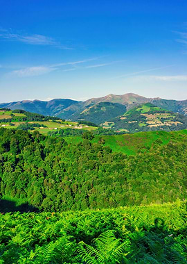 Landscape mountains green