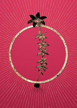 Wood Lily on Viva Magenta