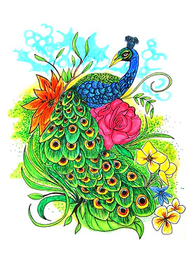 Peacock