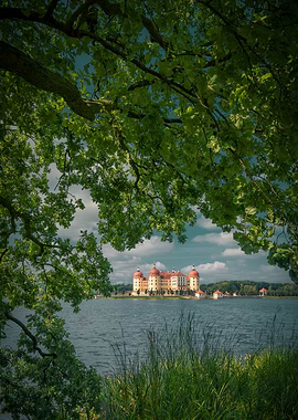 Castle Moritzburg